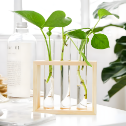 Glass Planter With Wooden Base